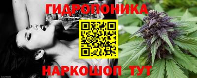 ПСИЛОЦИБИНОВЫЕ ГРИБЫ Обь