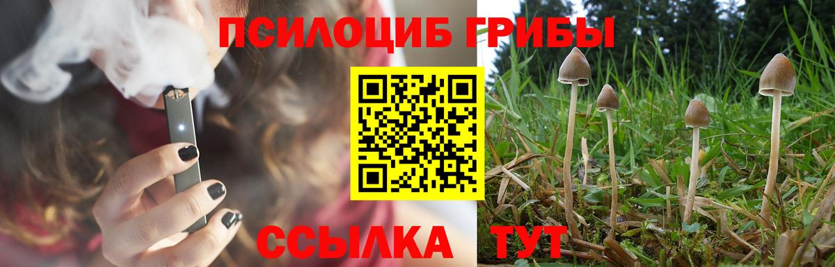 Россошь  Псилоцибиновые грибы Psilocybine cubensis  Вход с VPN  Галлюциногенные грибы мицелий 